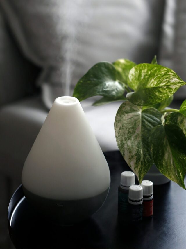 Como usar aromaterapia no quarto para dormir melhor